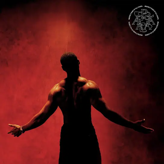 Sarz-Protect-Sarz-at-All-Costs.jpg (3)