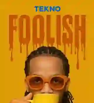 Tekno-Foolish-artwork